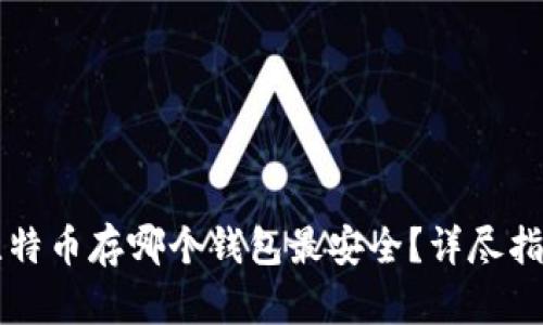 比特币存哪个钱包最安全？详尽指南