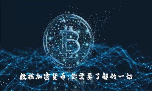 数据加密货币：你需要了解的一切