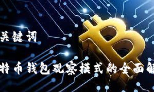 与关键词

比特币钱包观察模式的全面解析