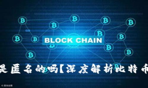 : 比特币钱包是匿名的吗？深度解析比特币隐私与安全性