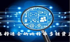 如何选择适合的比特币多链资产钱包