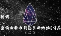 及关键词如何查询比特币钱包里的地址？详尽指