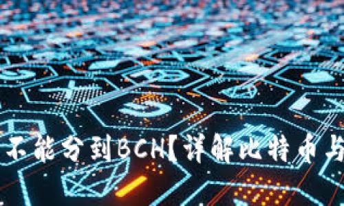 比特币在钱包里能不能分到BCH？详解比特币与比特币现金的关系