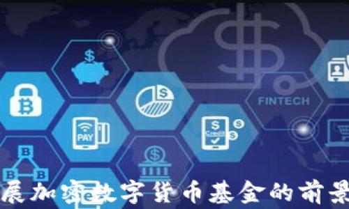 
国家发展加密数字货币基金的前景与挑战