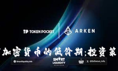 如何抓住数字加密货币的低价期：投资策略与风险分析