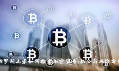 俄罗斯土豪如何投资加密货币：机会与风险分析