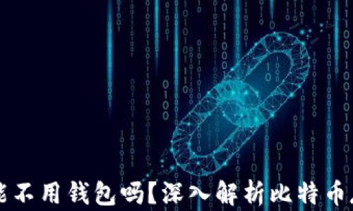 
比特币能不用钱包吗？深入解析比特币存储方式