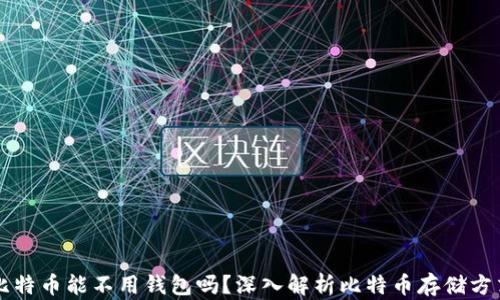 
比特币能不用钱包吗？深入解析比特币存储方式