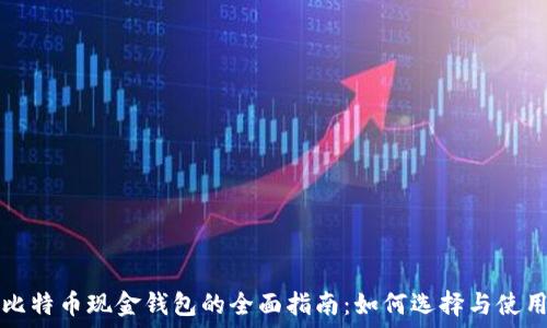   
比特币现金钱包的全面指南：如何选择与使用
