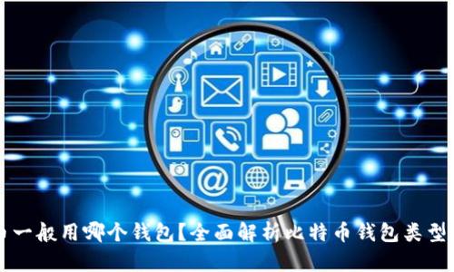 比特币一般用哪个钱包？全面解析比特币钱包类型及推荐