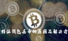 比特派钱包丢币的原因及解决方案