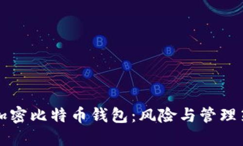 不加密比特币钱包：风险与管理策略