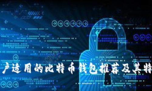 欧洲用户适用的比特币钱包推荐及其特点分析