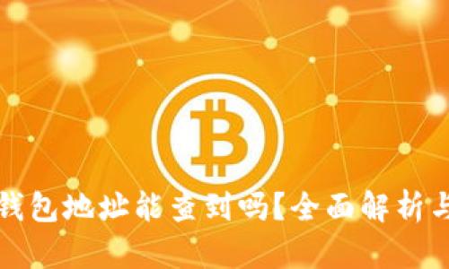比特币钱包地址能查到吗？全面解析与安全性