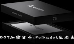 深入了解DOT加密货币：Polkadot生态系统的未来
