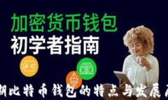 早期比特币钱包的特点与发展历程