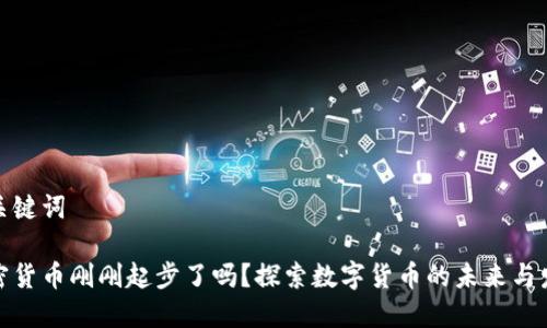 和关键词

加密货币刚刚起步了吗？探索数字货币的未来与发展