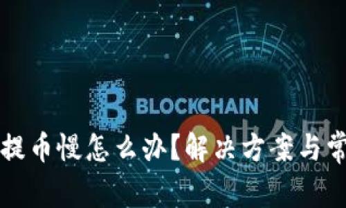 比特派钱包提币慢怎么办？解决方案与常见问题解析