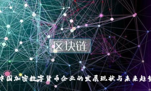 中国加密数字货币企业的发展现状与未来趋势