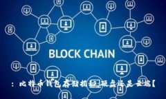 : 比特币钱包存储揭秘：硬盘还是云端？