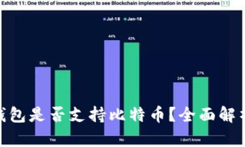 : 央行数字钱包是否支持比特币？全面解析与投资建议