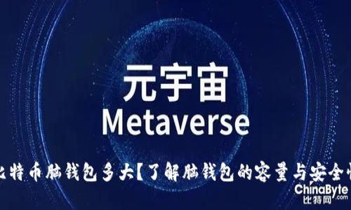 比特币脑钱包多大？了解脑钱包的容量与安全性