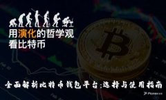 全面解析比特币钱包平台：选择与使用指南