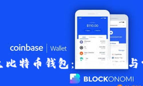 如何设置原生比特币钱包：详细指南与常见问题解答