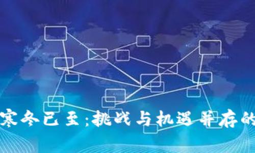 加密货币寒冬已至：挑战与机遇并存的市场分析