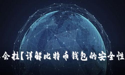 比特币钱包会不会挂？详解比特币钱包的安全性和使用注意事项