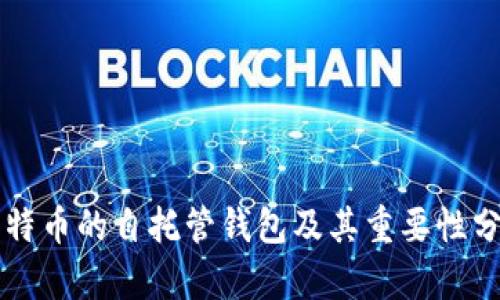 比特币的自托管钱包及其重要性分析