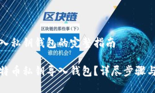 比特币导入私钥钱包的完整指南

如何将比特币私钥导入钱包？详尽步骤与注意事项