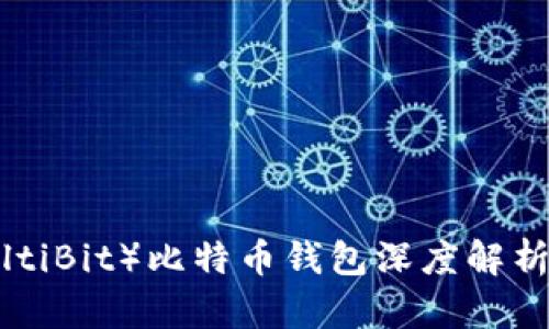 多比特（MultiBit）比特币钱包深度解析及使用指南