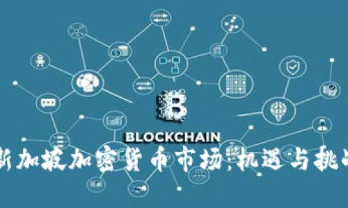 新加坡加密货币市场：机遇与挑战