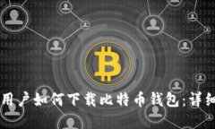 苹果用户如何下载比特币钱包：详细指南