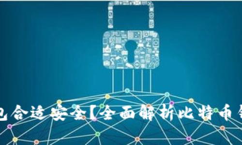 比特币存哪个钱包合适安全？全面解析比特币钱包选择与安全性