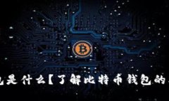 比特币钱包是什么？了解比特币钱包的类型与功