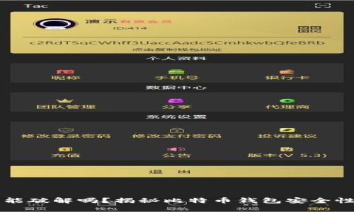 比特币钱包能破解吗？揭秘比特币钱包安全性与破解方法