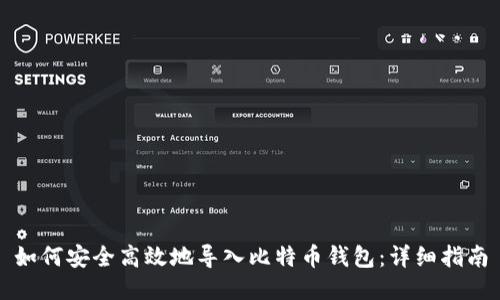 如何安全高效地导入比特币钱包：详细指南