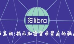 加密货币真相：揭示加密货币背后的骗局与机遇