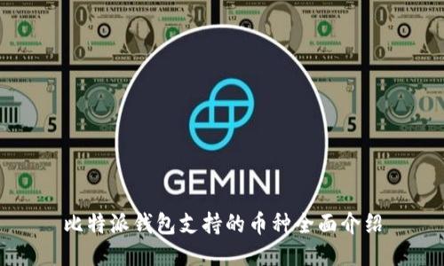 比特派钱包支持的币种全面介绍