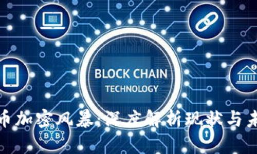 数字货币加密风暴：深度解析现状与未来趋势
