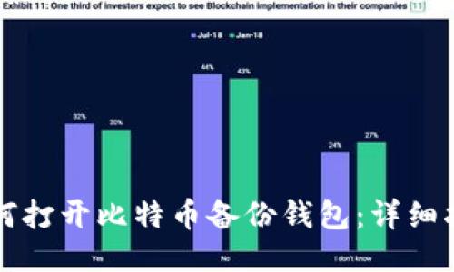 如何打开比特币备份钱包：详细指南