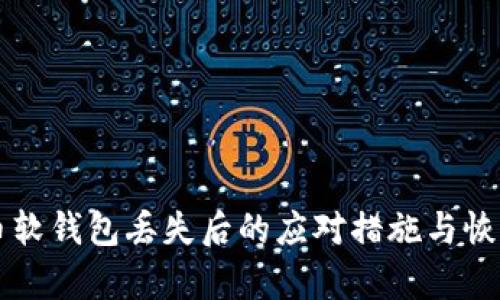 比特币软钱包丢失后的应对措施与恢复指南