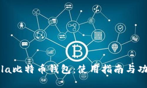 CoinCola比特币钱包：使用指南与功能详解