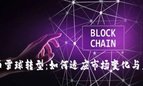 加密货币雪球转型：如何适应市场变化与未来创新