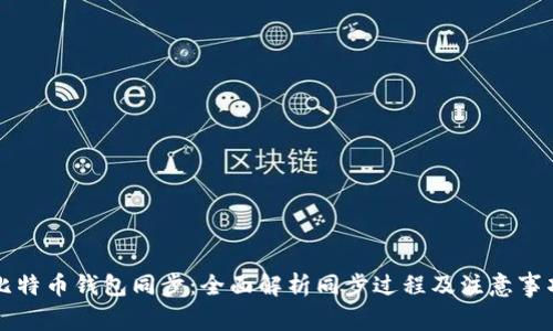 比特币钱包同步：全面解析同步过程及注意事项