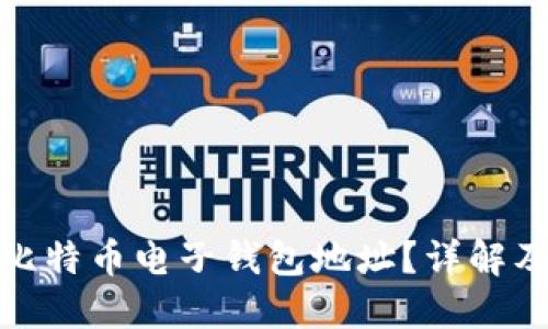 : 什么是比特币电子钱包地址？详解及使用指南