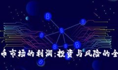 加密货币市场的利润：投资与风险的全面分析