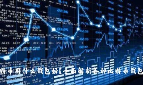 : 比特币用什么钱包好？全面解析各种比特币钱包选择